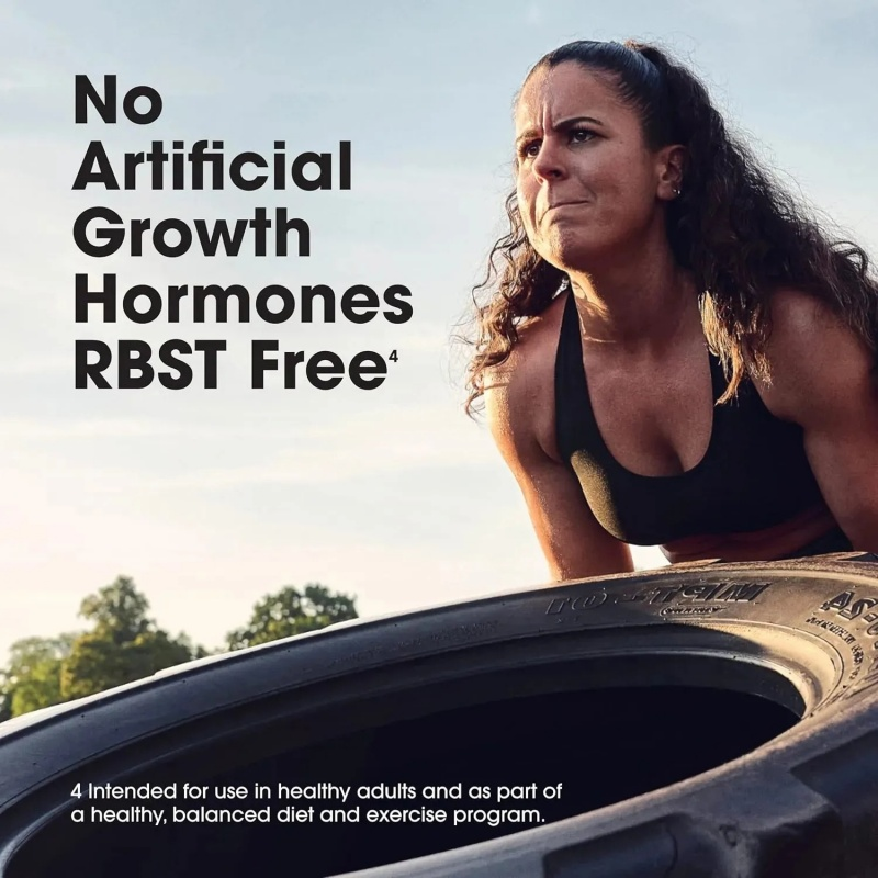 2 Pound, Optimum Nutrition Gold Standard 100% Whey Protein Powder